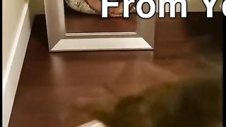 Hot Backpage Girl Giving me A Blowjob Mirror Video
